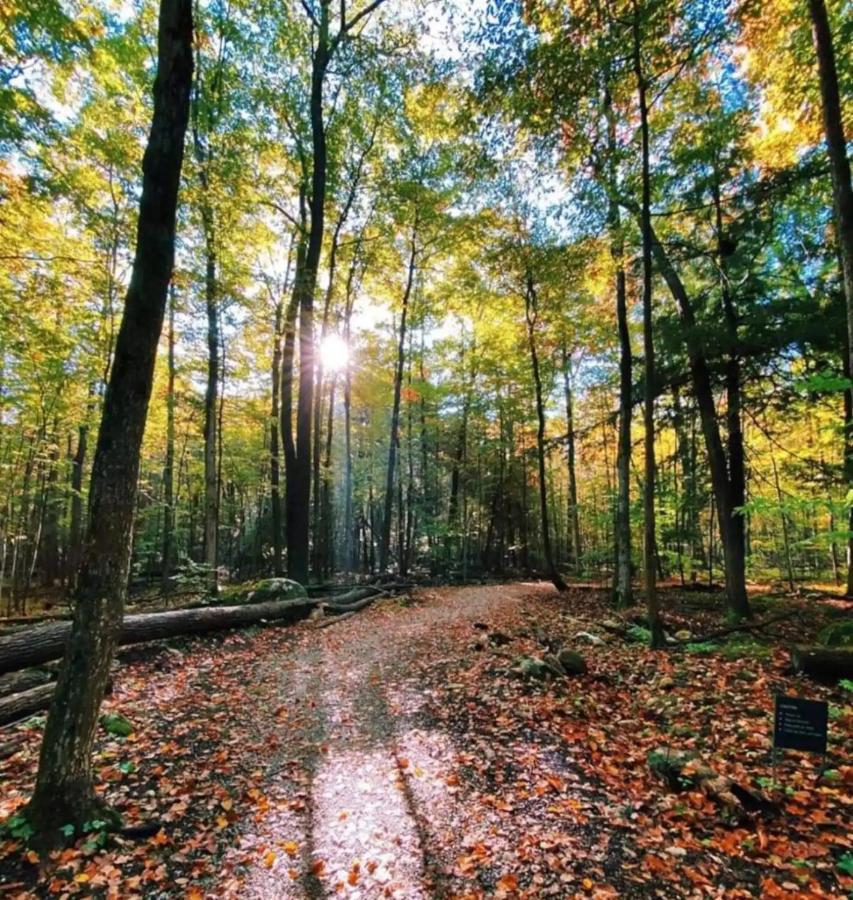 Pet Friendly Condos At Friday Harbour Innisfil Zewnętrze zdjęcie